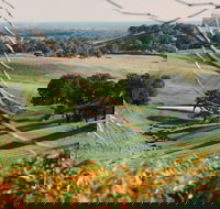 Green Door Winery Cellar Door - Tourism Gold Coast