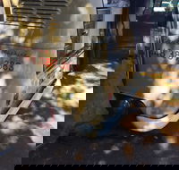 Kombi Koffein - Tourism Gold Coast