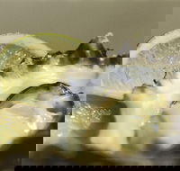 Pearly Oyster Bar and Farm - Tourism Gold Coast