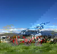 Red Feet Wines - Gold Coast