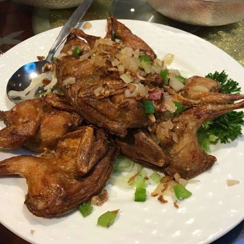 China Sea - Tourism Gold Coast 0