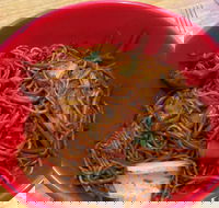 Noodle World - Tourism Gold Coast