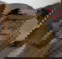 Roast  Toast - Gold Coast