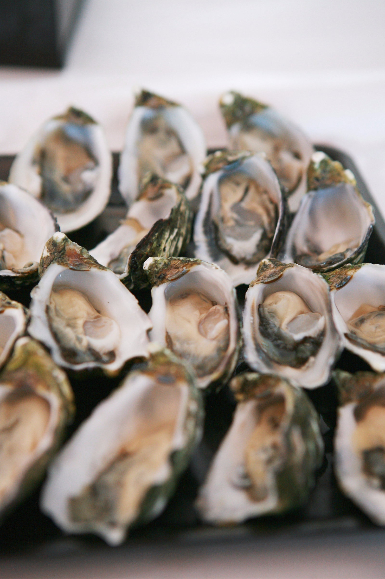 Port Pirie SA Tourism Gold Coast