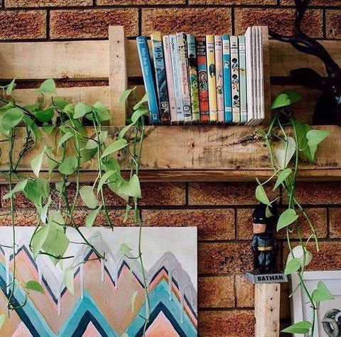 Wilderness Bar - Tourism Gold Coast 0