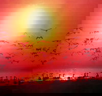 Barra Cafe on Riverview