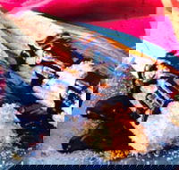 Donut King - Altona Meadows - Tourism Gold Coast