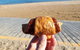 Glick's - Caulfield - thumb 0