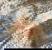 Mad Mex Fresh Mexican Grill - Tourism Gold Coast