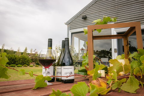 Pierrepoint Wines Cellar Door - Tourism Gold Coast 0
