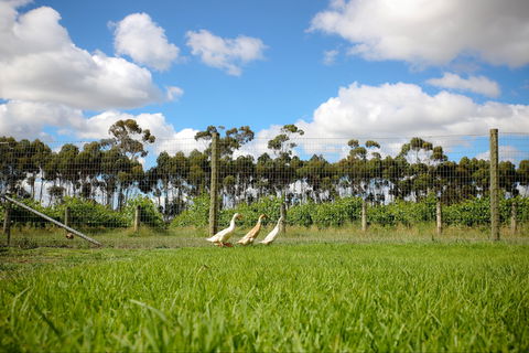 Pierrepoint Wines Cellar Door - Tourism Gold Coast 1
