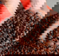 Zokoko Chocolate and Espresso Cafe - Tourism Gold Coast