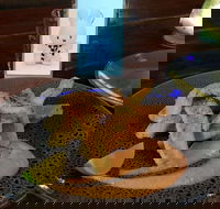 Cocina Mexican Grill and Cantina