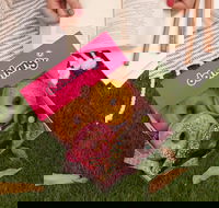 Donut King - Mitchelton - Tourism Gold Coast