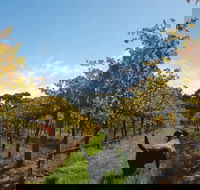 Ruddenklau Wines - Tourism Gold Coast