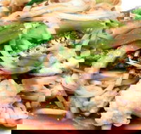 Sun On - Tourism Gold Coast