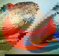 Sunshine Social - Tourism Gold Coast