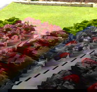 That Food Truck - Gold Coast