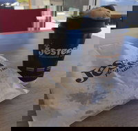 Jesters - Canning Vale - Tourism Gold Coast