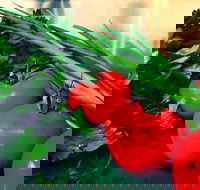 Marmaris II Take-Away - Tourism Gold Coast