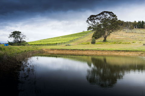 Mount Majura Vineyard - Tourism Gold Coast 1