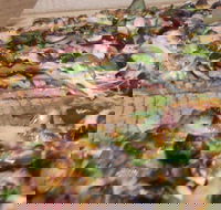 Papa's Pizza  Pasta - Tourism Gold Coast