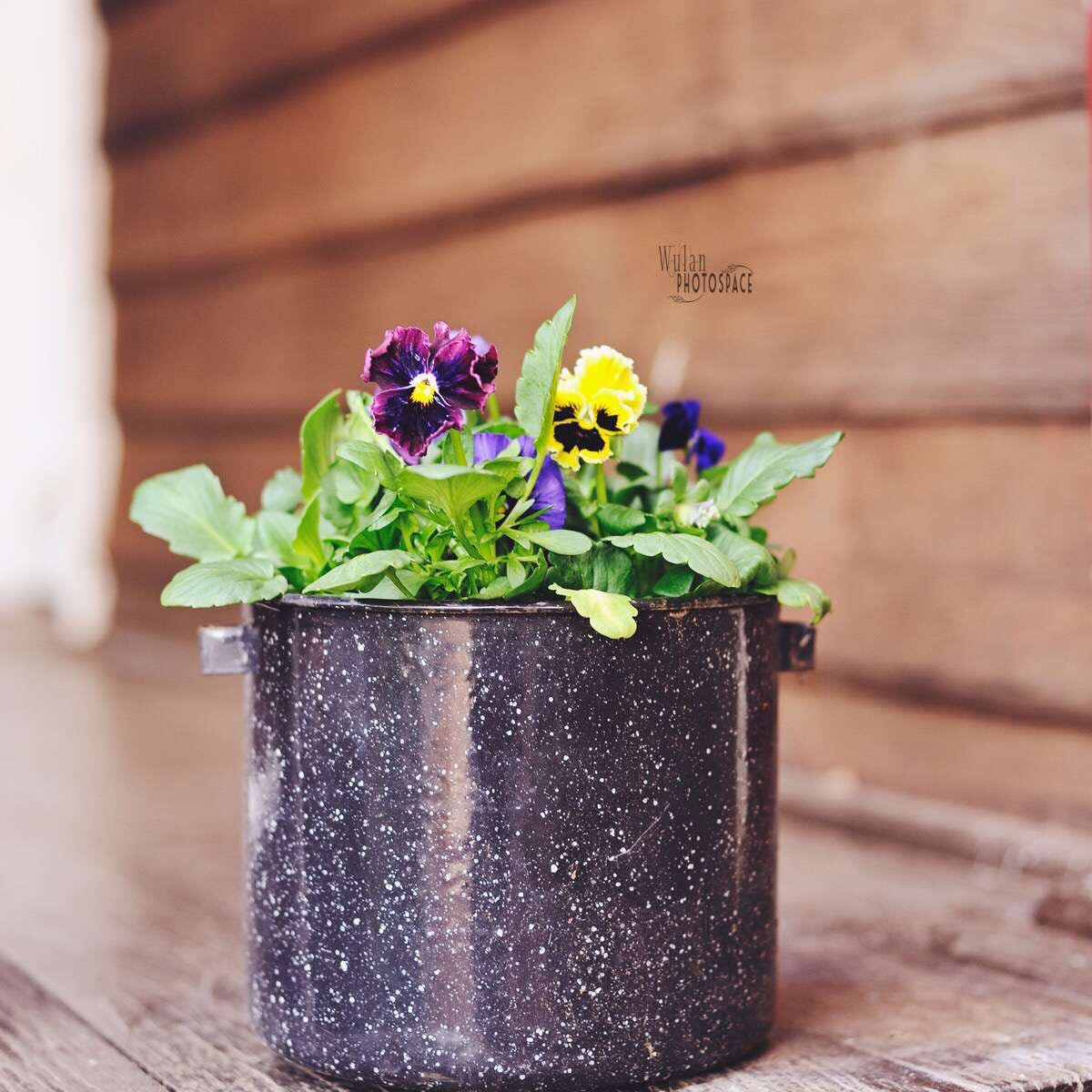 York WA Tourism Gold Coast