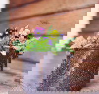 The York Mill - Tourism Gold Coast