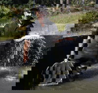 41 Degrees South Tasmania - Tourism Gold Coast