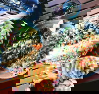 Luxe Fish - Tourism Gold Coast