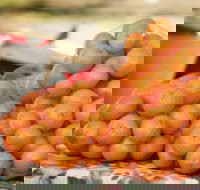 Mathoura Mandarins - Tourism Gold Coast