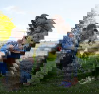 Sunhill Dairy Goats and Sunhill Skin Essentials - Tourism Gold Coast