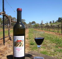 Lockwood Vineyard - Tourism Gold Coast