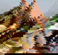 Redfish Fish Chips  Grill - Tourism Gold Coast