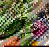 Stone cold - Tourism Gold Coast