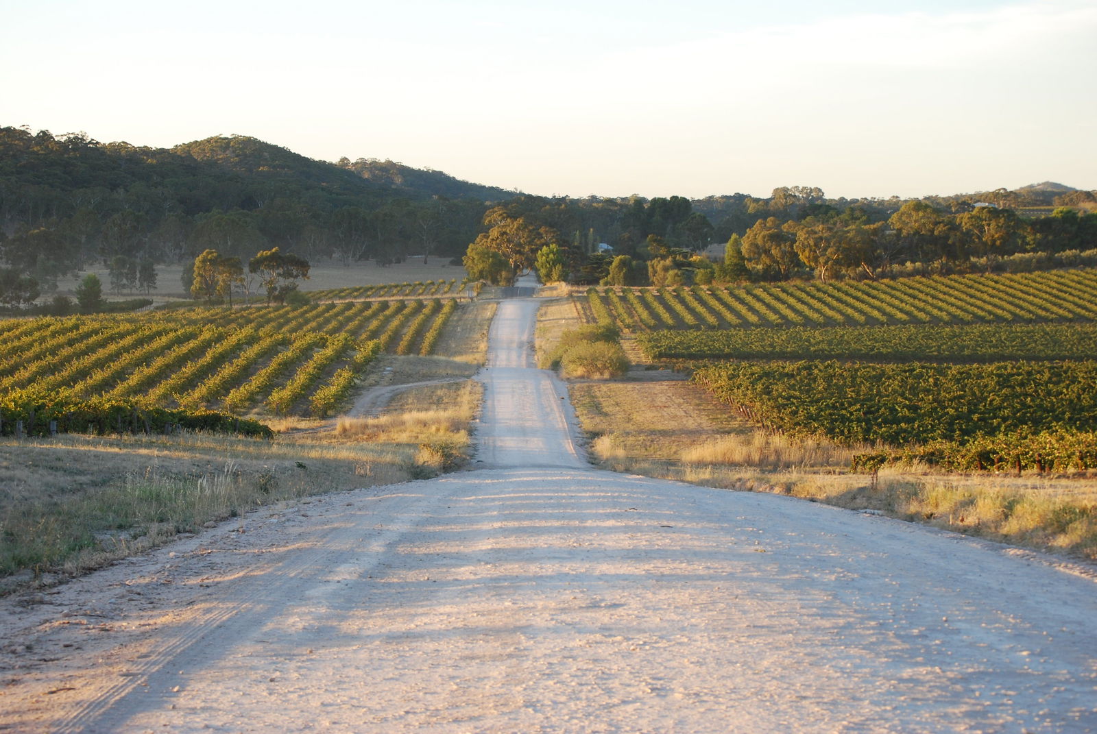 Saddleworth SA Tourism Gold Coast