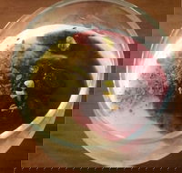 Bendooley Bar  Grill - Tourism Gold Coast