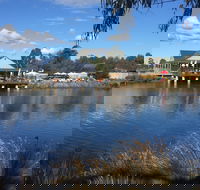 Puddleduck Vineyard - Tourism Gold Coast