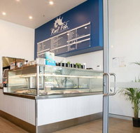Reef Fish - Tourism Gold Coast
