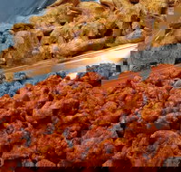 Spice Blast - Tourism Gold Coast