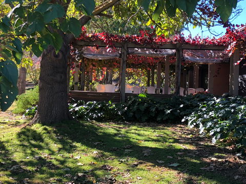 The Pressing Shed Cafe & Restaurant At Nullamunjie Olive Groves - Tourism Gold Coast 1