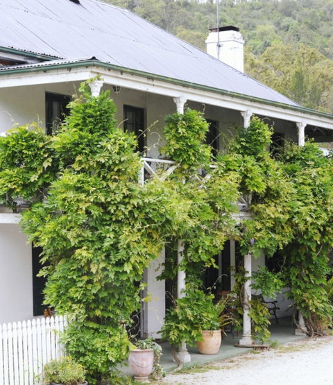 The Common Ground Cafe And Bakery - Gold Coast 0