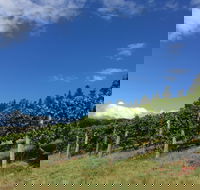 Freycinet Vineyard - Tourism Gold Coast