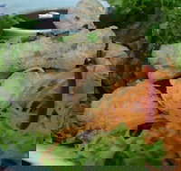 Green Bamboo - Tourism Gold Coast