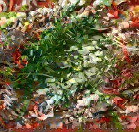 Mount Buninyong Winery - Tourism Gold Coast