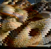 NYC Bagel Deli  Cafe - West End - Tourism Gold Coast