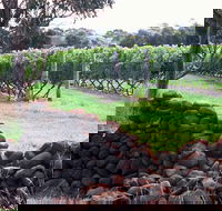 Spring Vale Vineyard - Tourism Gold Coast