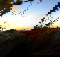 Glenbosch Wine Estate - Gold Coast