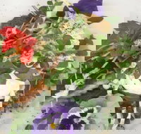 Just Earth - Tourism Gold Coast