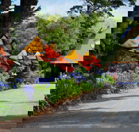 Oakdene Vineyards and Cellar Door - Tourism Gold Coast